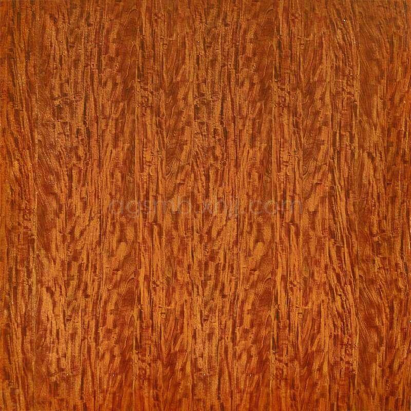 17-12 緬甸紅橡木